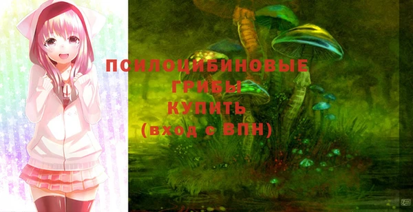 соль курить ск Верея