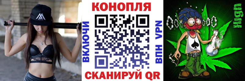 Конопля White Widow Кингисепп